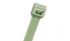 Pan-Ty?–Polypropylene–Distinctive Green Color